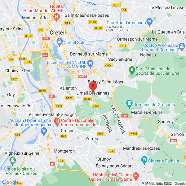 google map