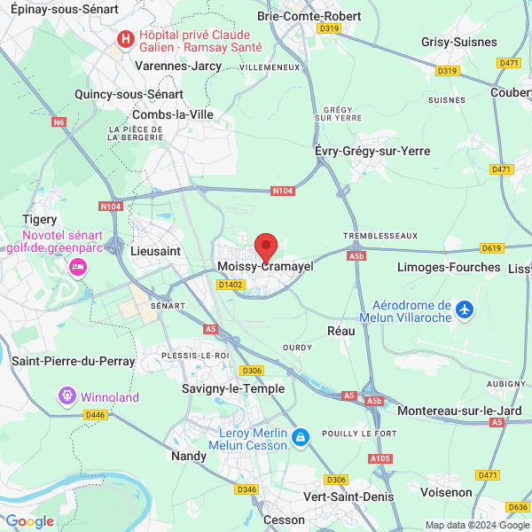 google map