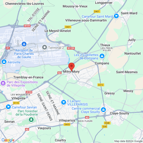 google map