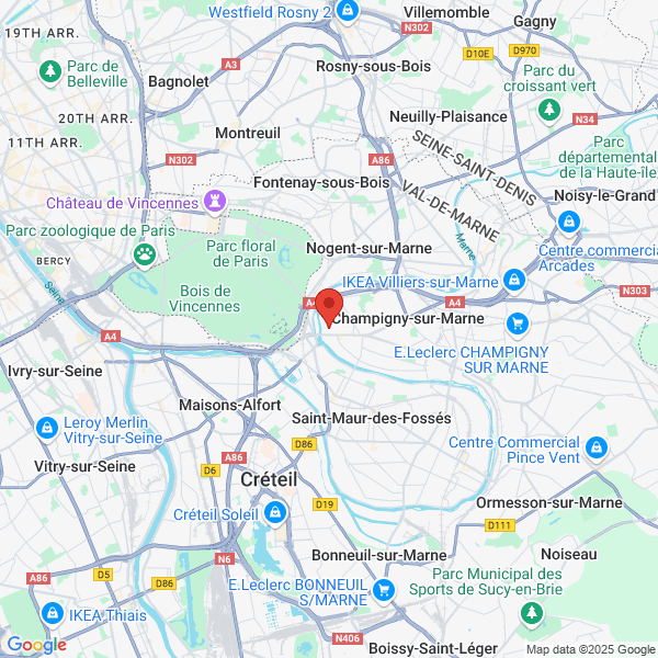 google map