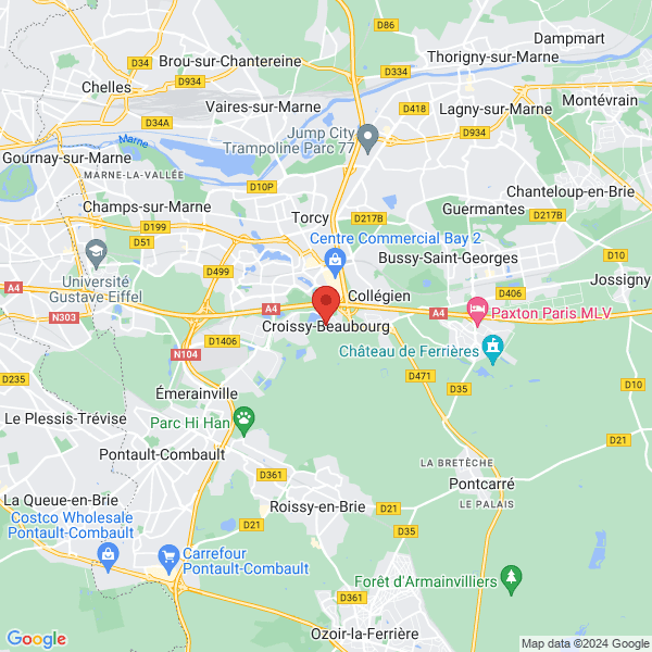 google map