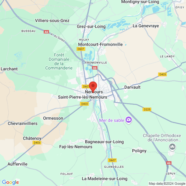 google map