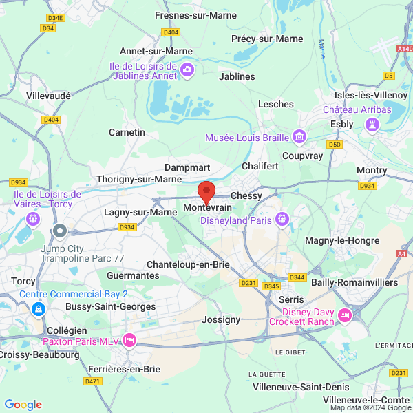 google map