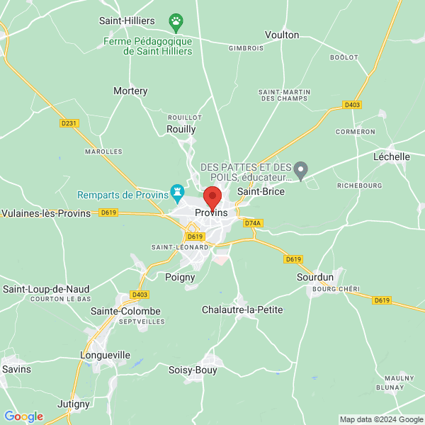 google map