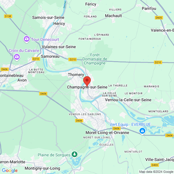 google map
