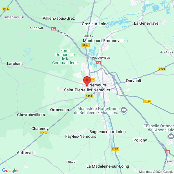 google map