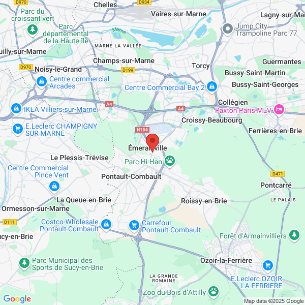 google map