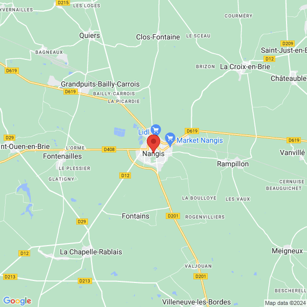 google map