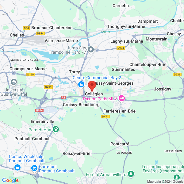google map