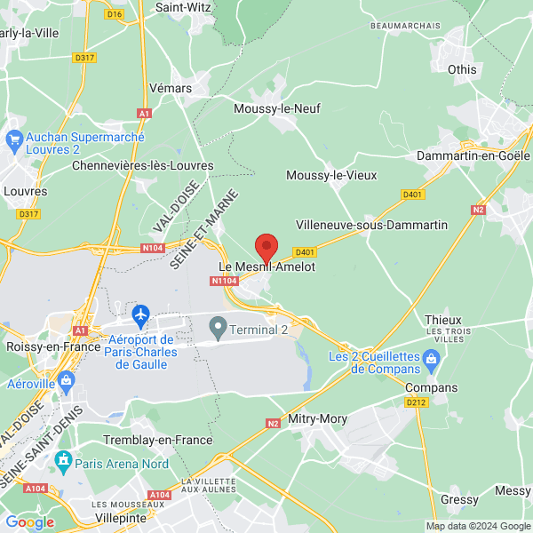 google map