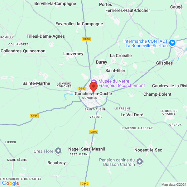 google map