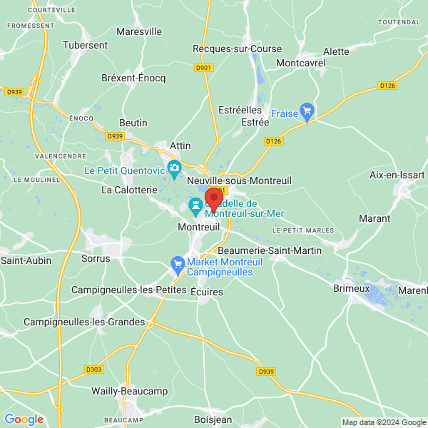 google map