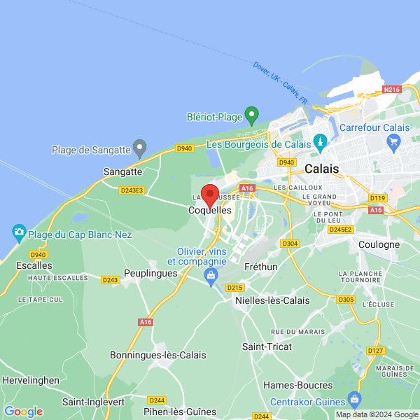 google map