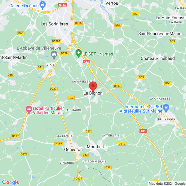 google map