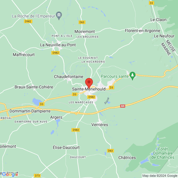 google map