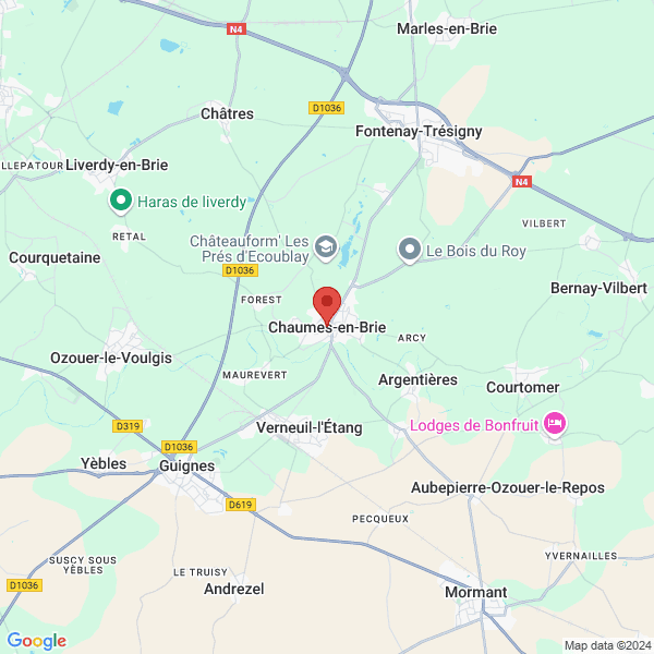google map