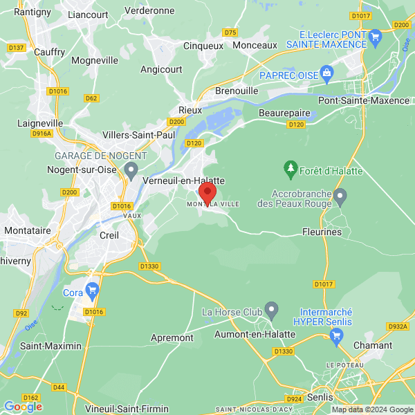 google map