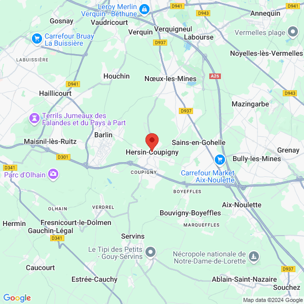 google map