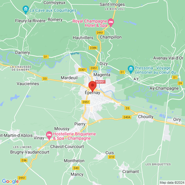 google map