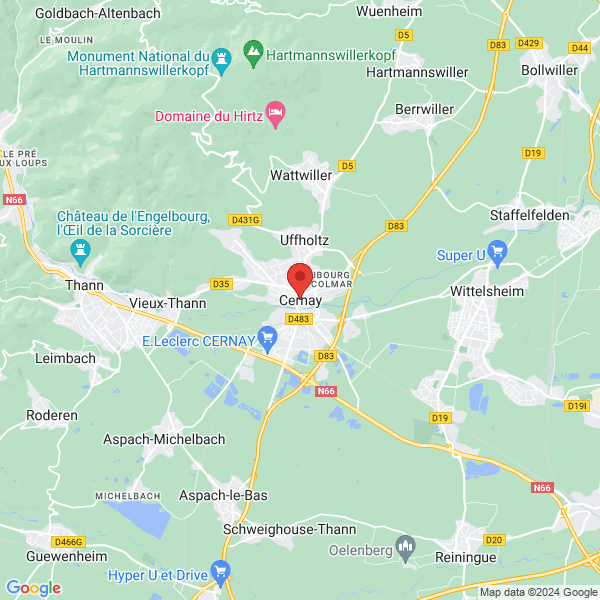 google map