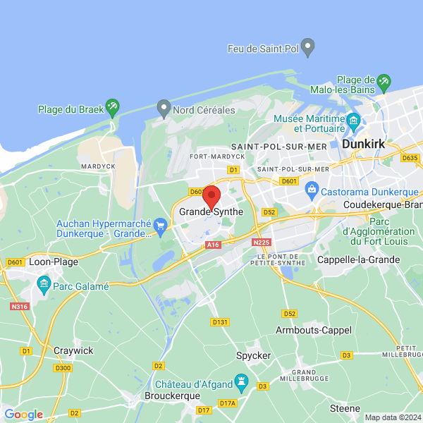 google map
