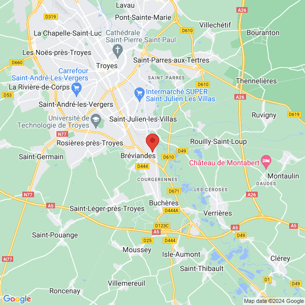 google map