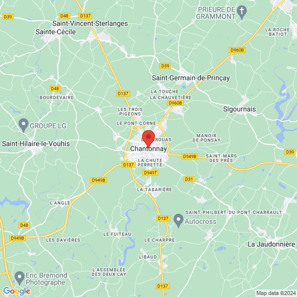 google map