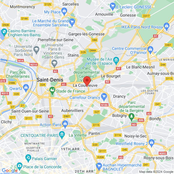 google map