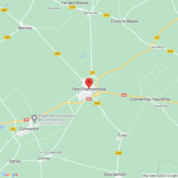 google map