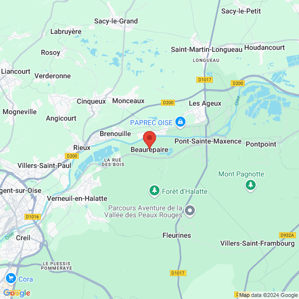 google map