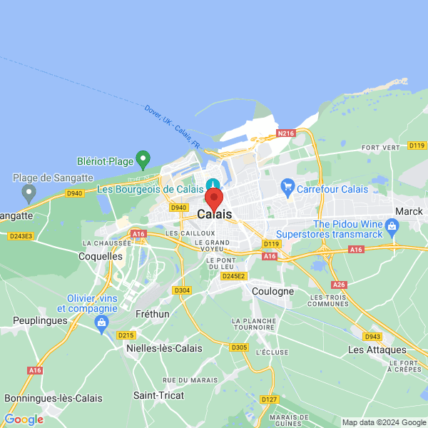 google map
