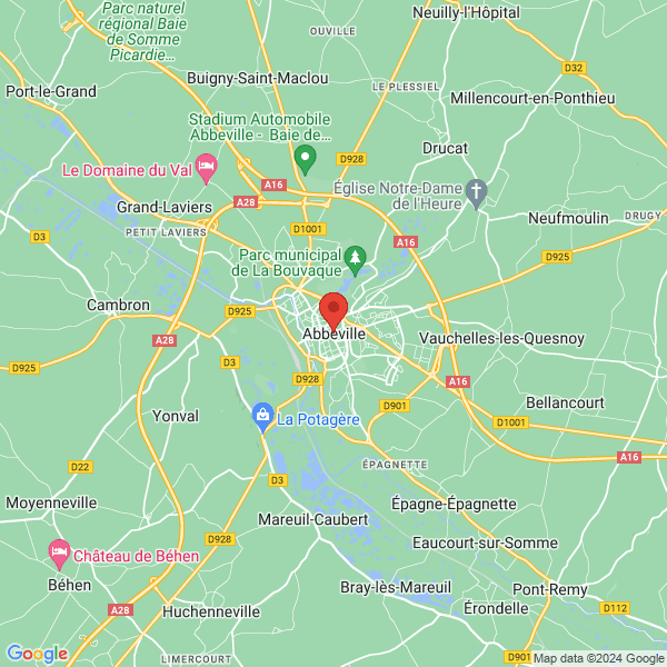 google map