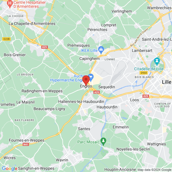 google map