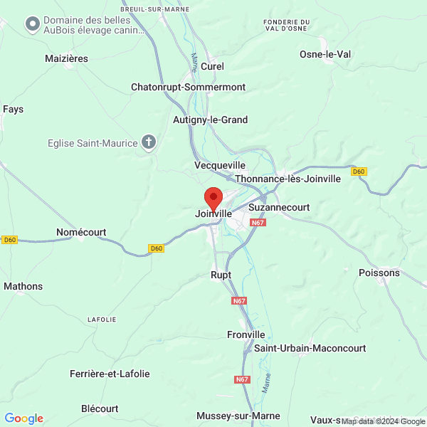 google map