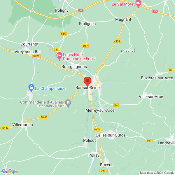 google map