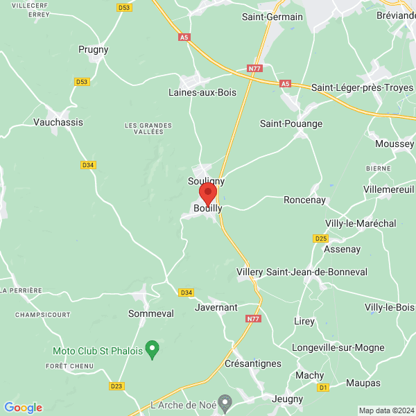 google map