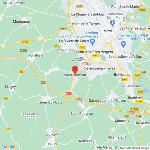 google map