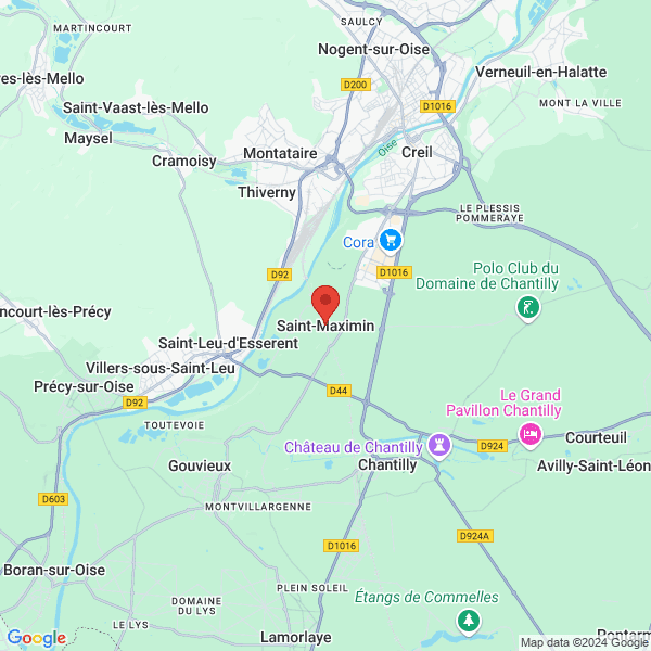 google map