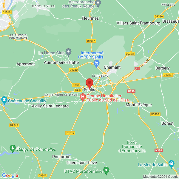 google map