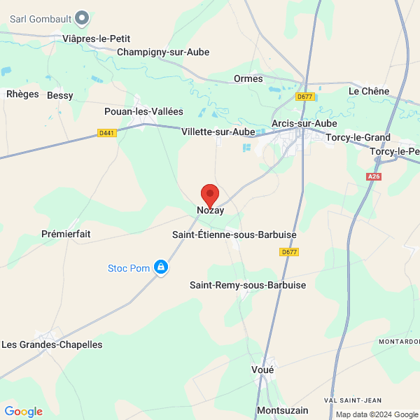 google map