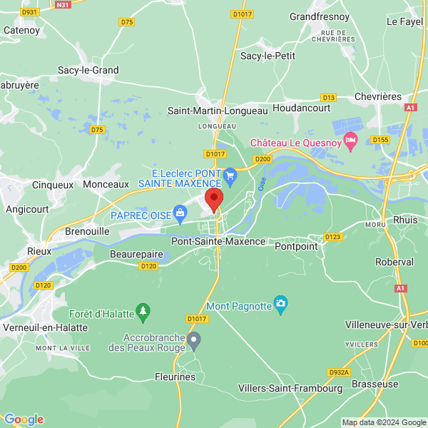 google map
