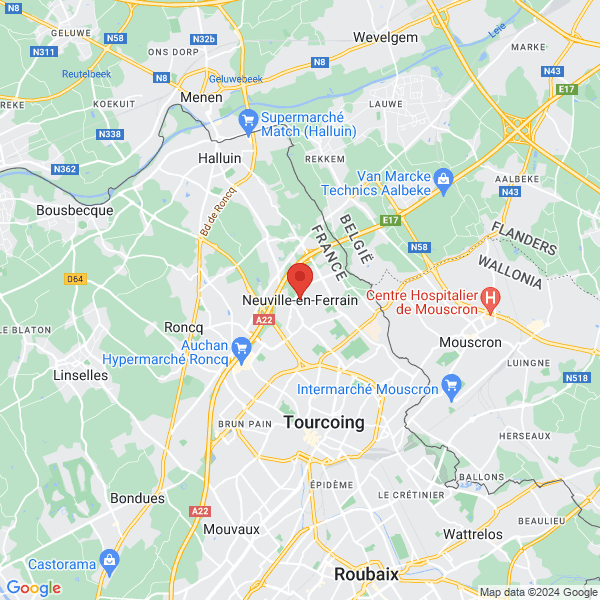 google map
