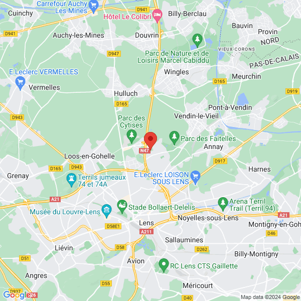 google map