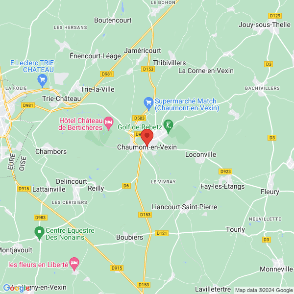 google map