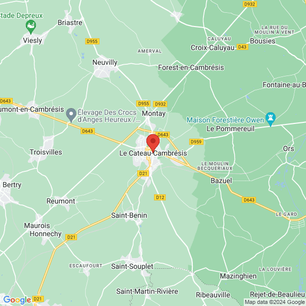 google map