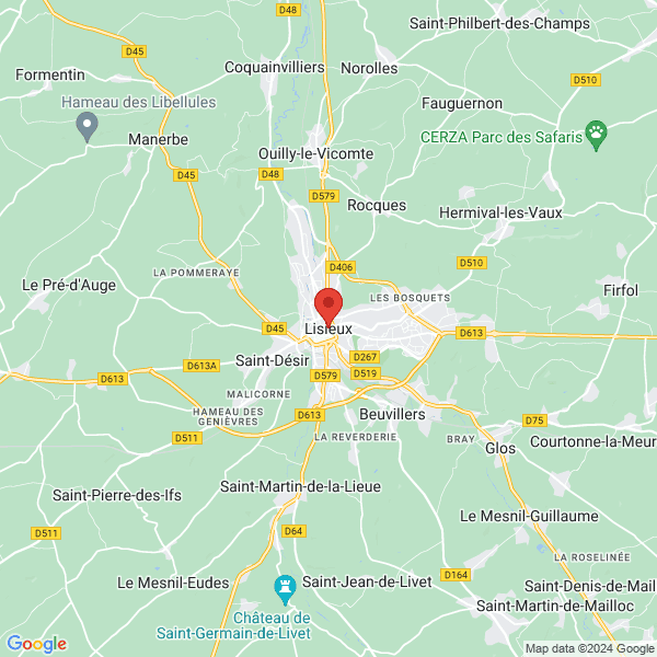 google map