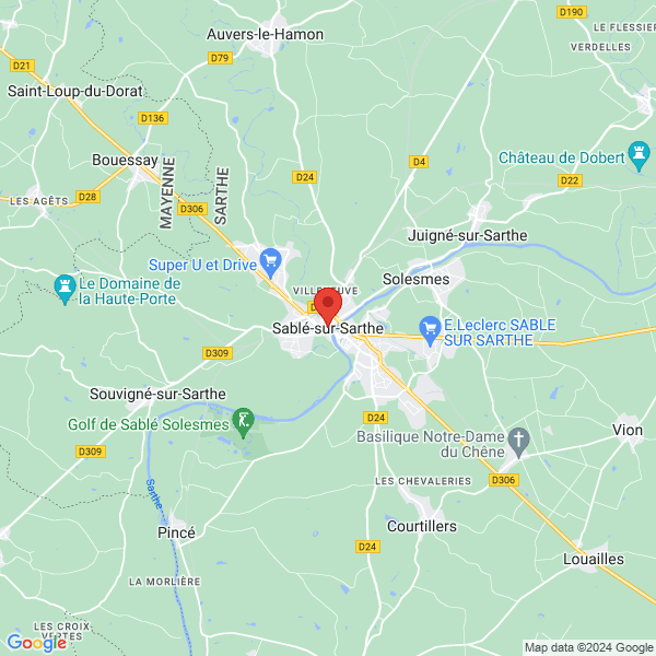 google map