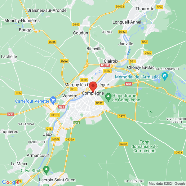 google map