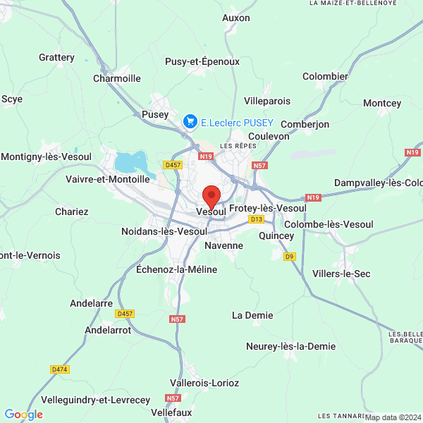 google map