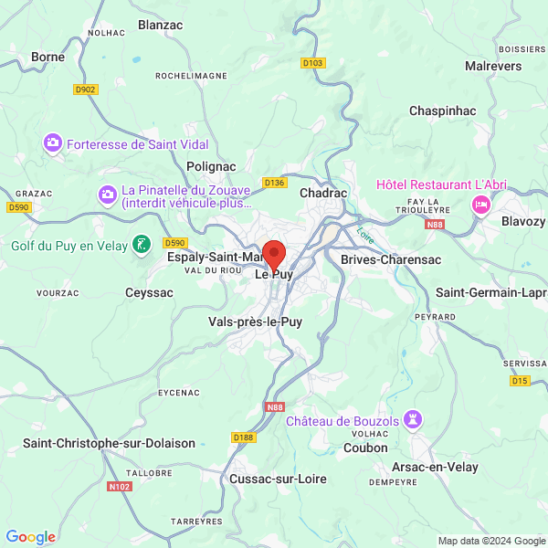 google map